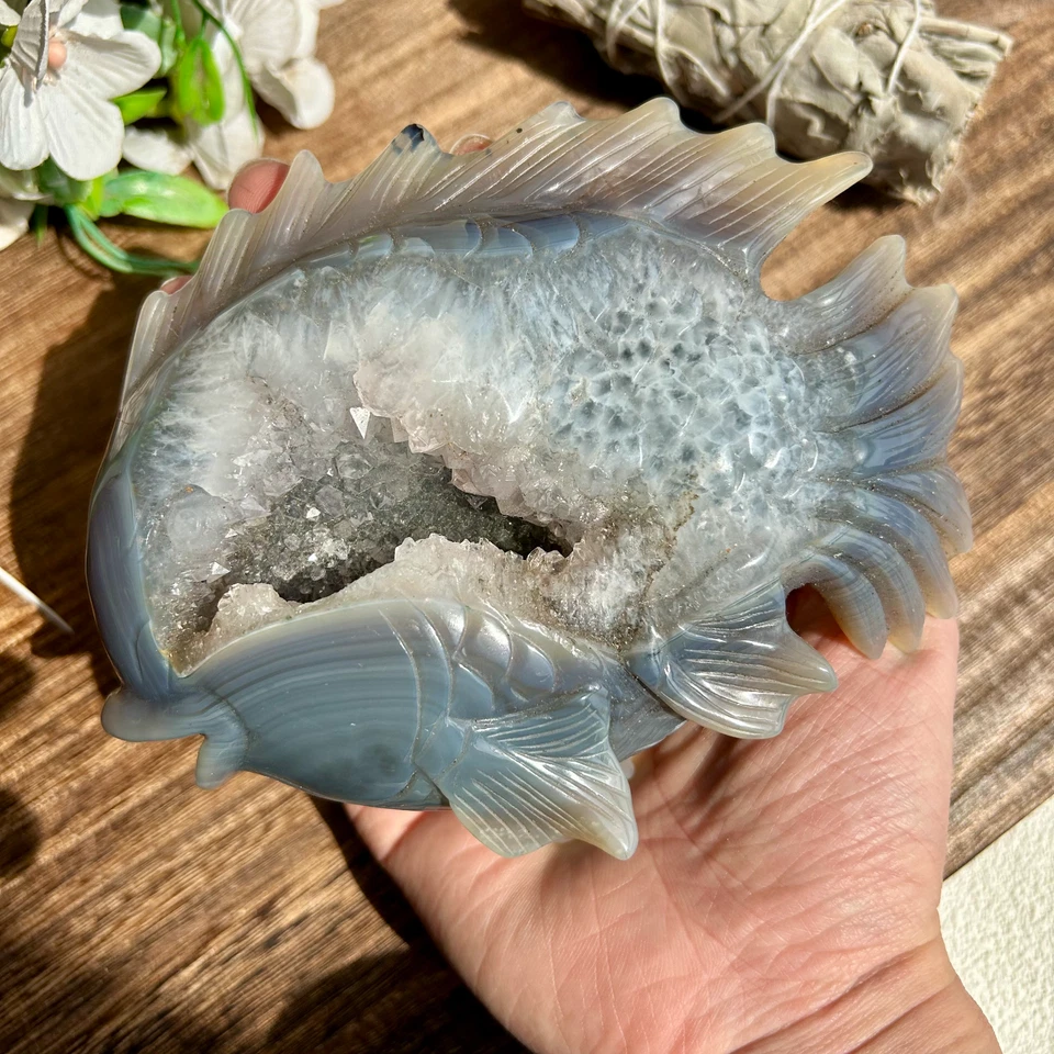 Natural Druzy Agate fish geode Hand carving Crystal Healing 760g 12cm*15cm*4cm
