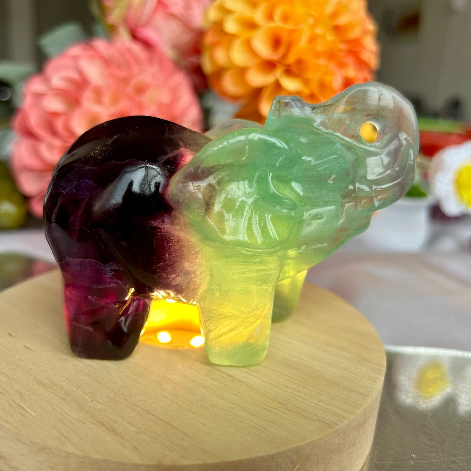 440g Natural fluorite handcarved quartz crystal elephant carving healing