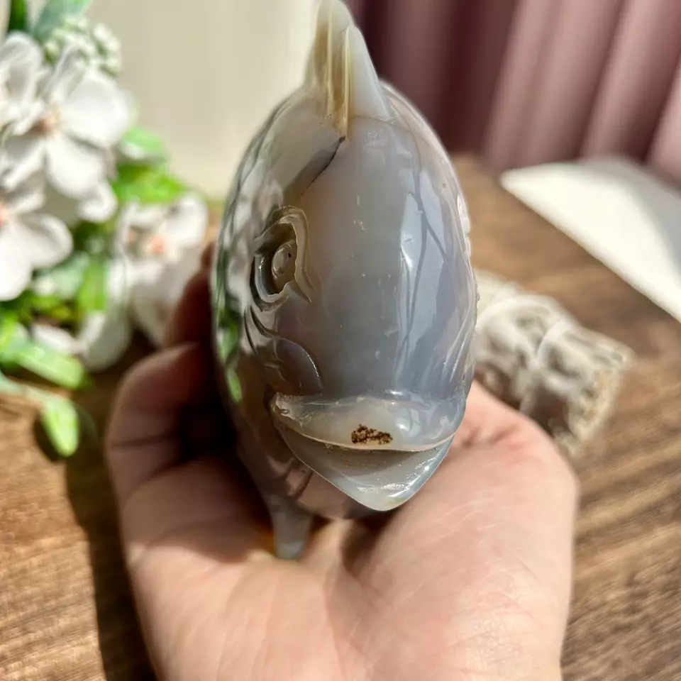 Natural Druzy Agate fish geode Hand carving Crystal Healing 760g 12cm*15cm*4cm