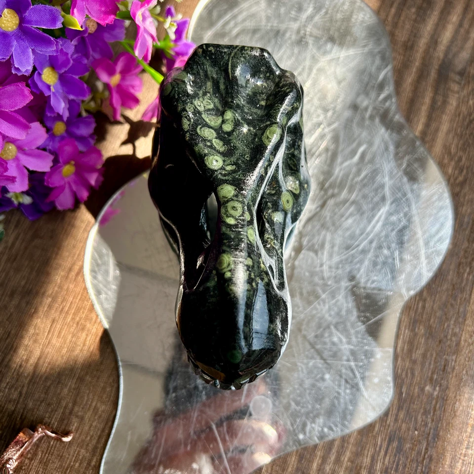 645g Natural Kambaba Jasper hand-carved dinosaur skull quartz crystal healing