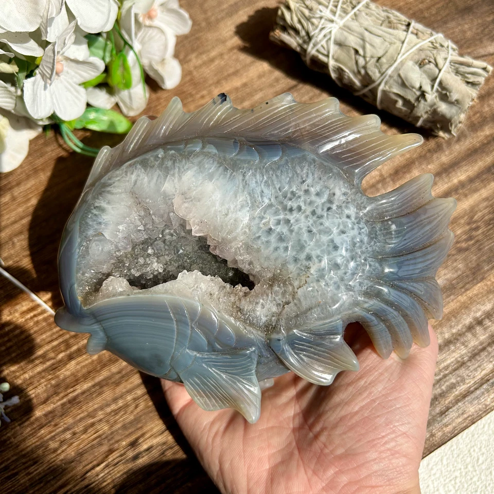 Natural Druzy Agate fish geode Hand carving Crystal Healing 760g 12cm*15cm*4cm