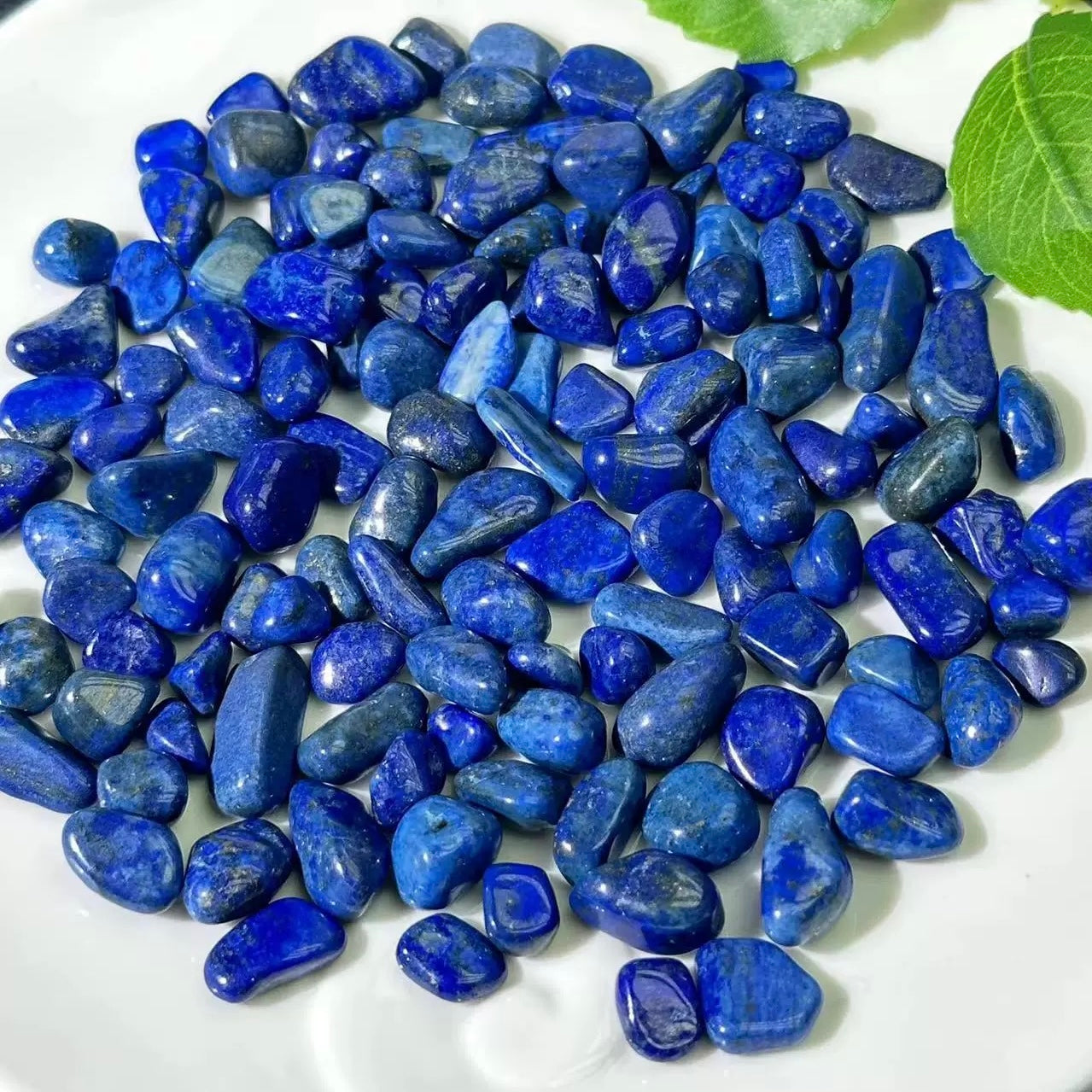 Lapis palm stone and chip stone