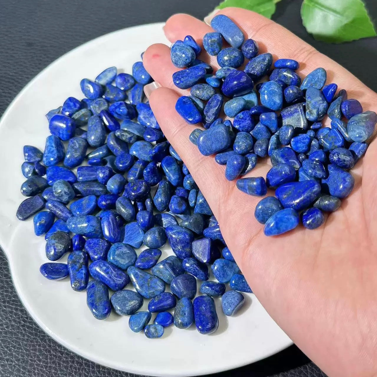 Lapis palm stone and chip stone