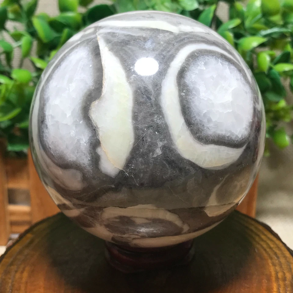 Shell Thousand Eyes stone sphere