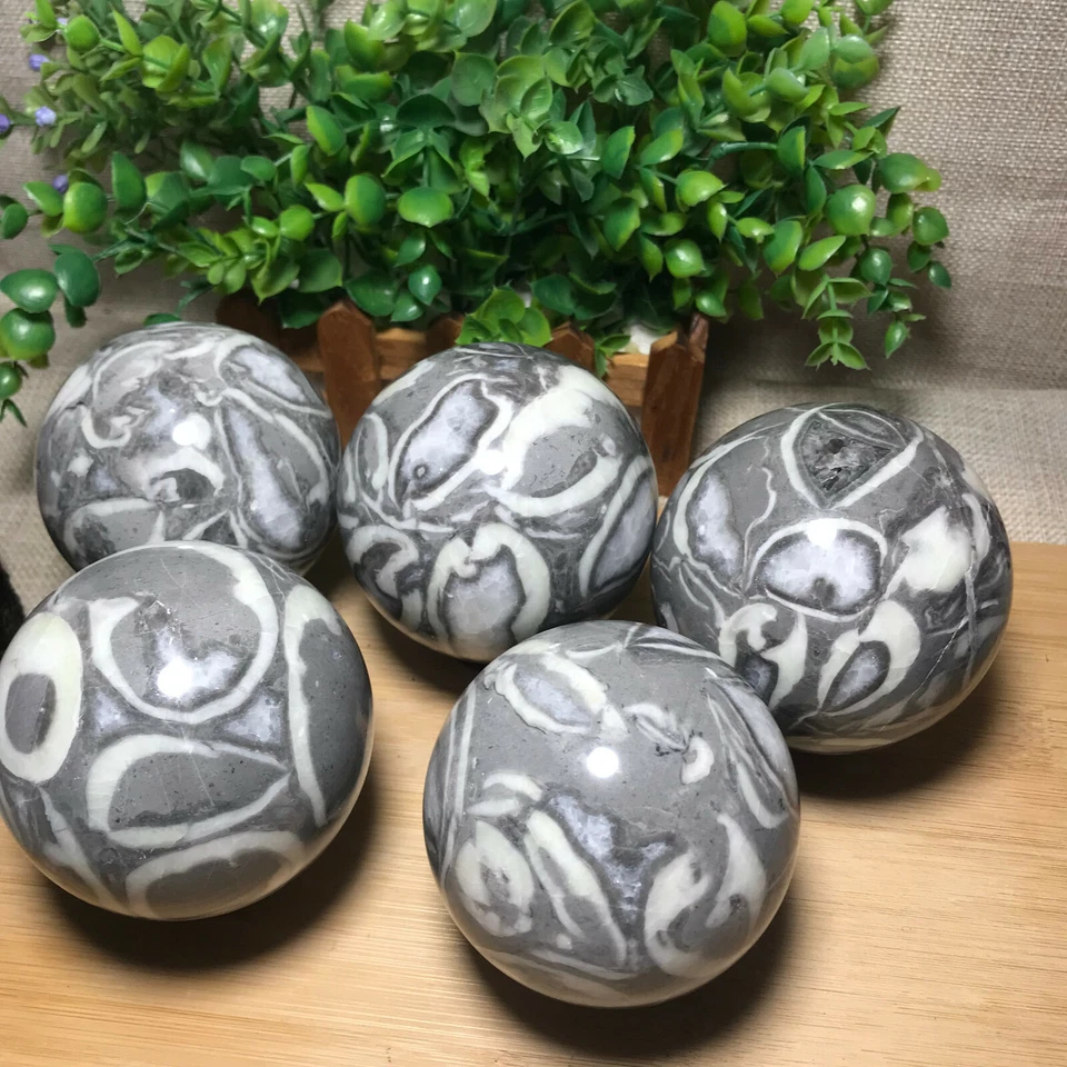 Shell Thousand Eyes stone sphere