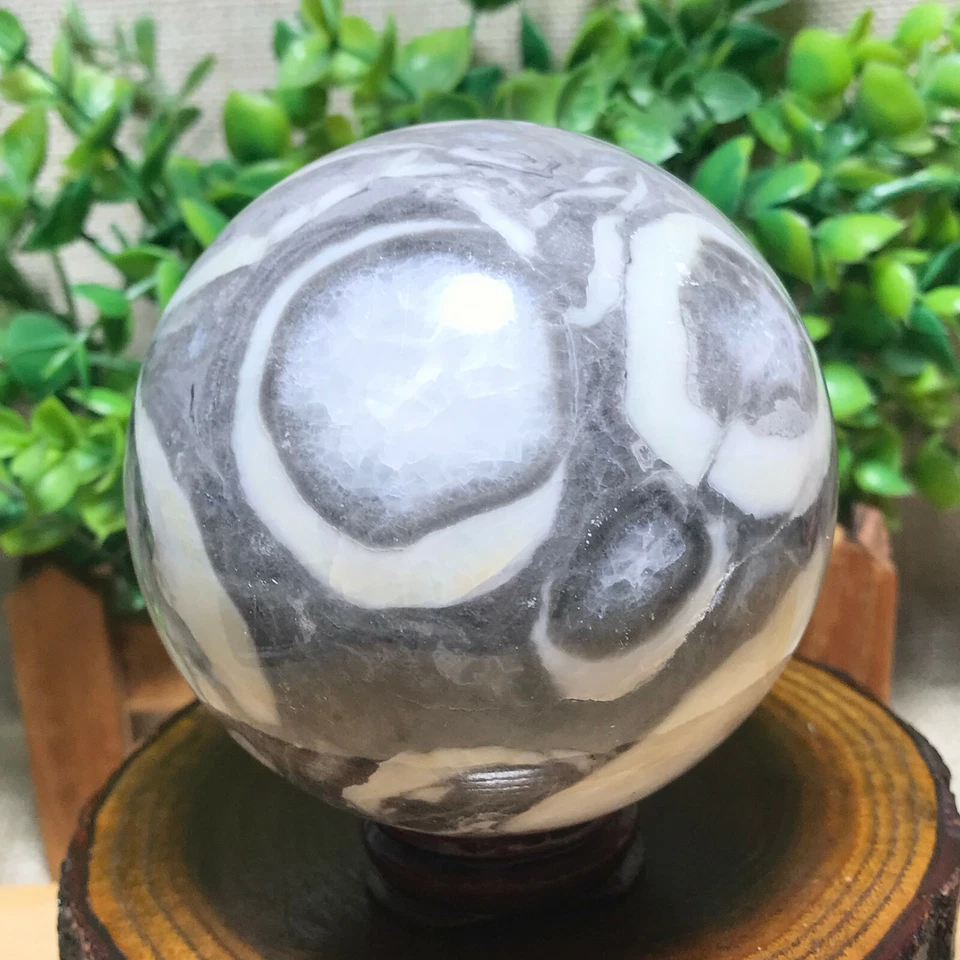 Shell Thousand Eyes stone sphere