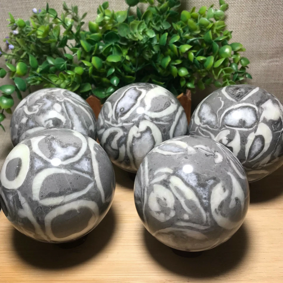 Shell Thousand Eyes stone sphere
