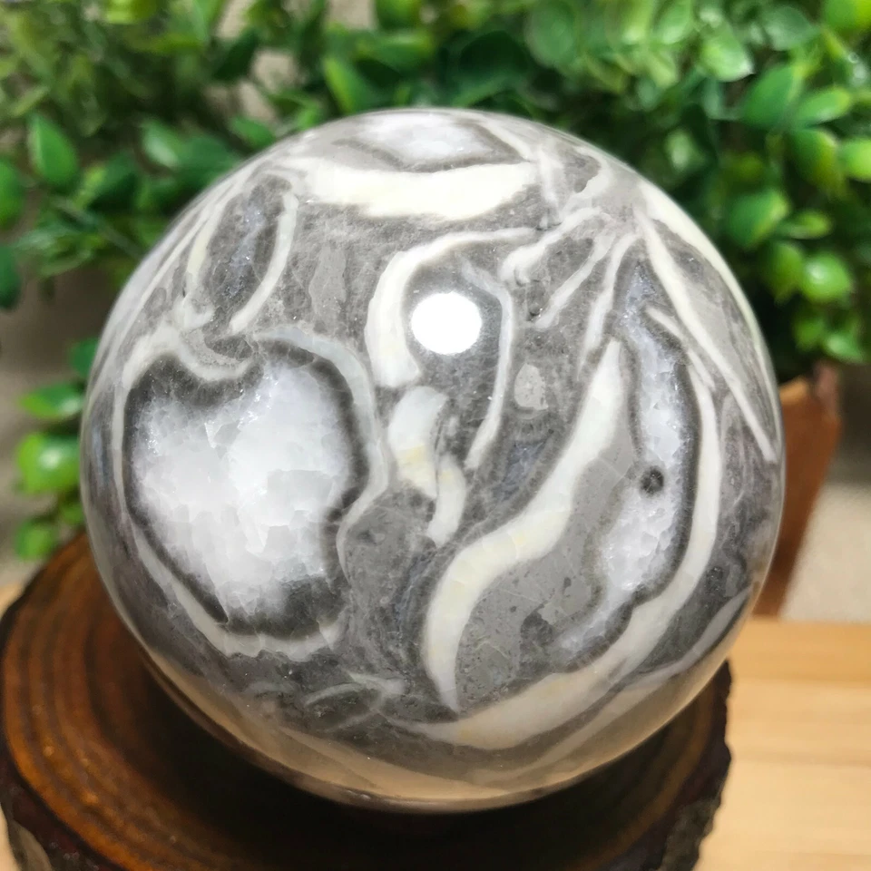 Shell Thousand Eyes stone sphere