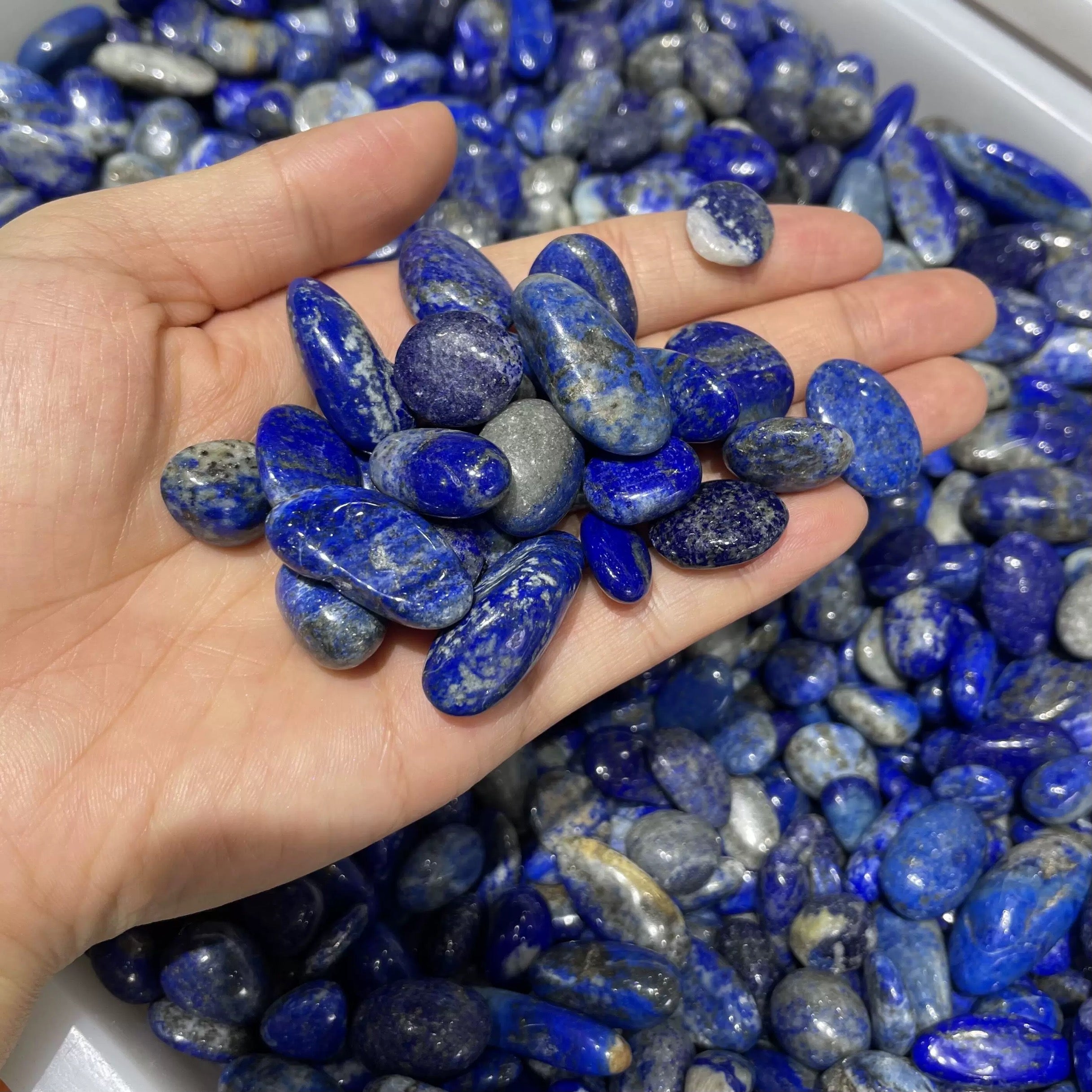 Lapis palm stone and chip stone
